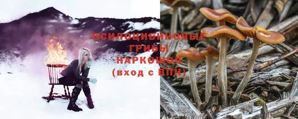 тгк Володарск